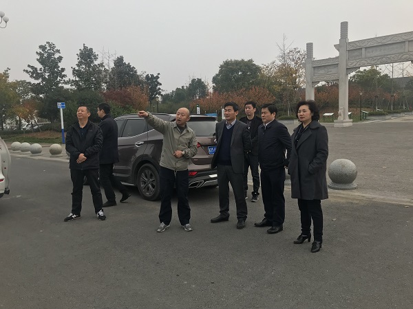 夏萍、、、程保银实地调研徽盐地产在建项目