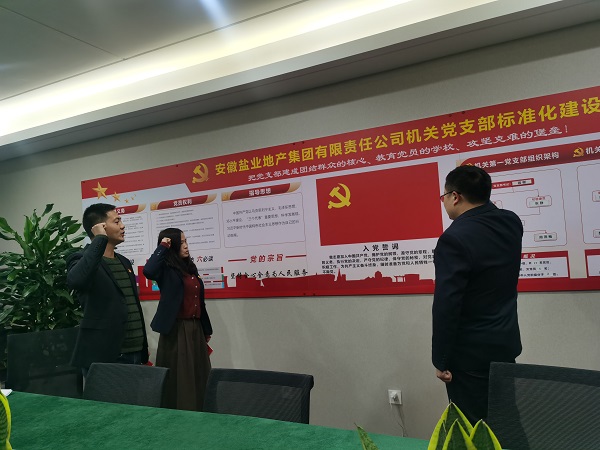 安徽恒峰g22地产集团机关第一党支部开展“佩党徽、、、诵誓词、、、赠党章、、、上党课”党员教育活动