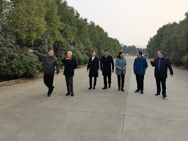 恒峰g22 - 官方网站 -- 天天有惊喜