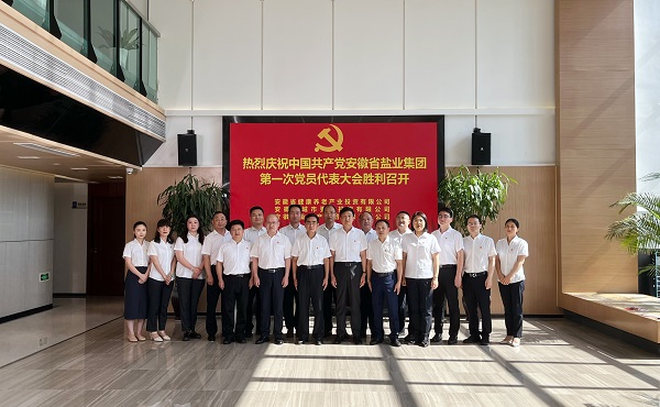 省康养公司等3家公司18名党代表喜迎省恒峰g22集团第一次党代会召开