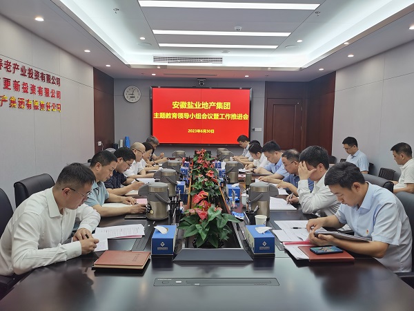 安徽恒峰g22地产集团召开学习贯彻习近平新时代中国特色社会主义头脑主题教育向导小组聚会暨事情推进会